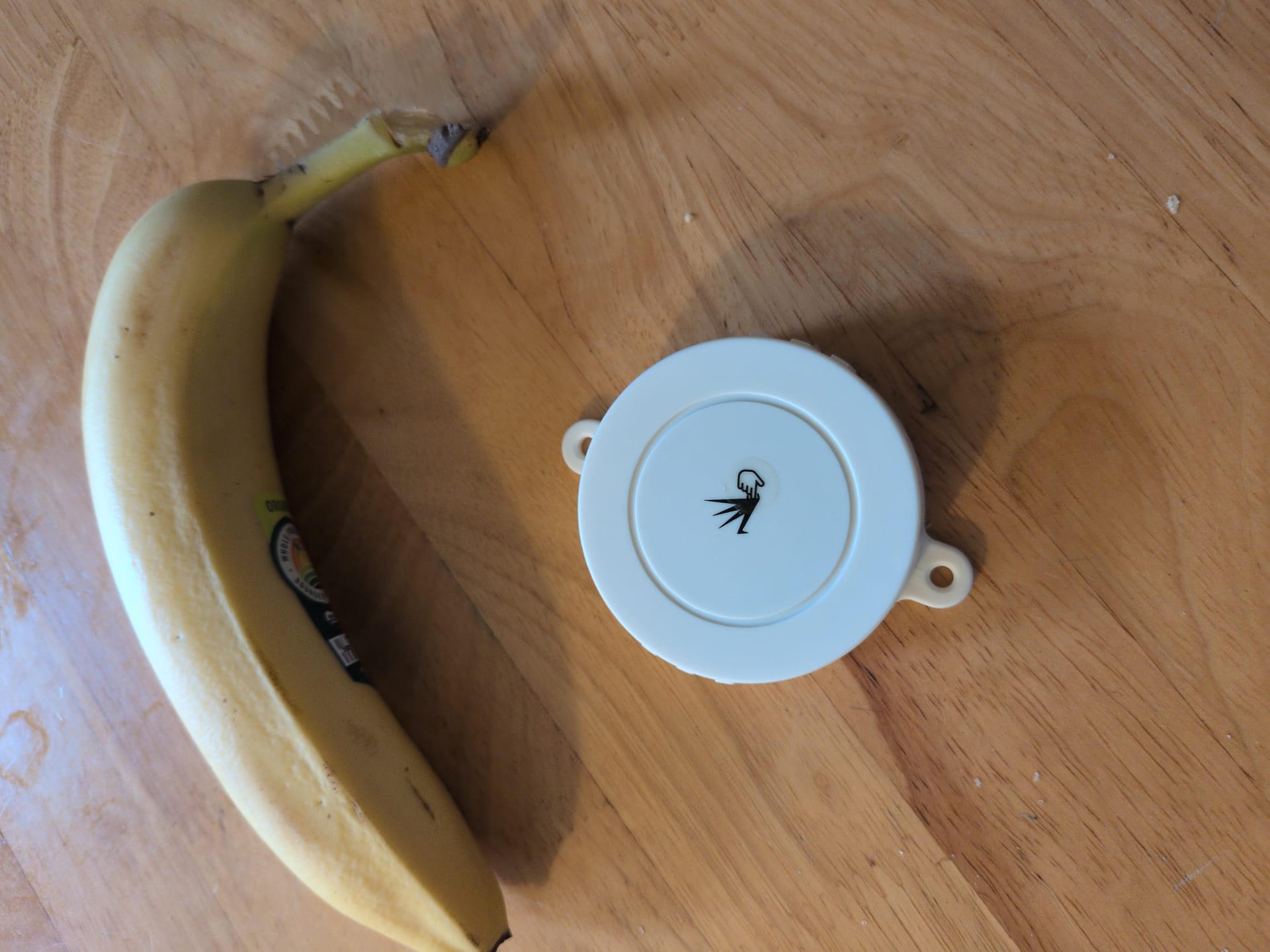 Testing Out BLE Beacons With beaconDB